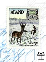 Подарочный сертификат на покупку Сигнум МФД