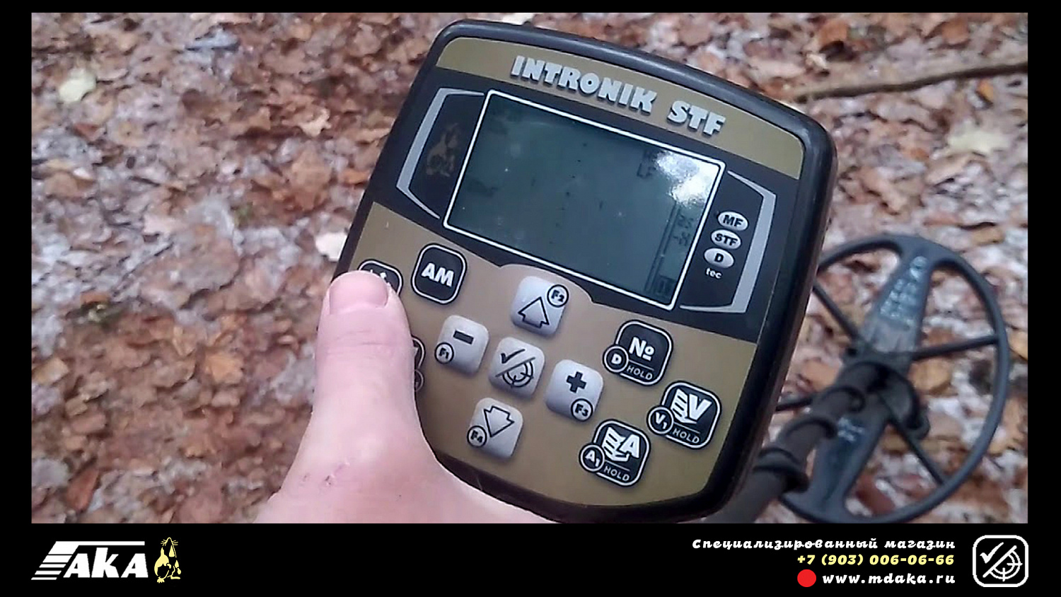 Интроник СТФ на телескопической штанге с Bluetooth